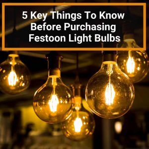 picture of light bulbs